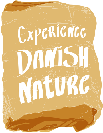 bandage danish nature